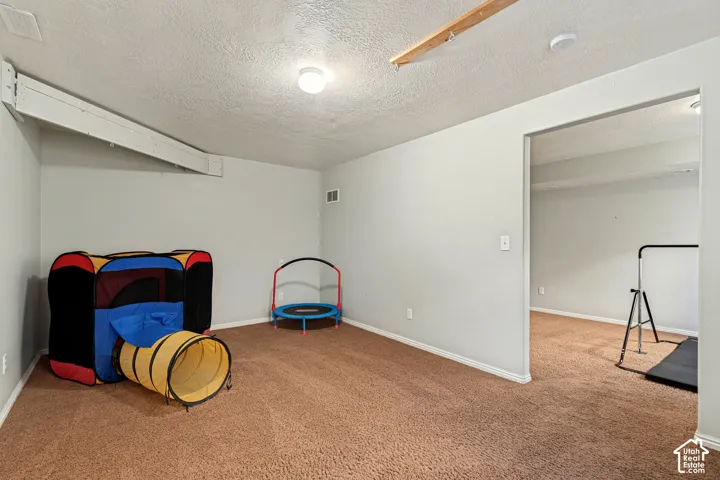 Carpeted room with light grey walls and a ceiling-mounted light fixture
