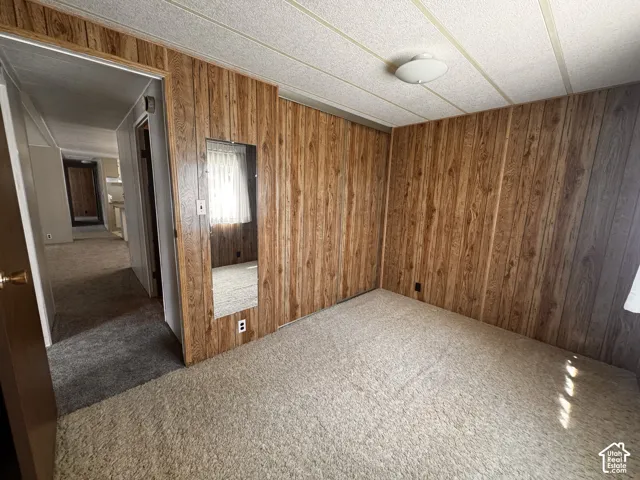Wood-finish wall paneling, carpeted flooring, and a ceiling-mounted light fixture