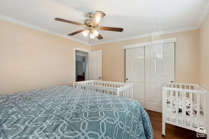 Wood-finish flooring with crown molding, a ceiling fan with integrated lighting, and a white paneled sliding closet door