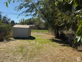 Expansive backyard featuring a shed with a corrugated metal roof, partial chain-link fencing, and mature trees