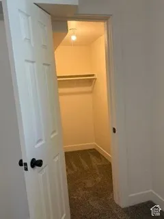 Recessed closet featuring a hanging rod, overhead light, and carpeted flooring