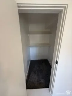 Recessed closet with integrated shelving and carpet flooring