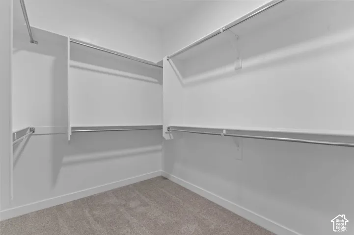 Walk-in closet featuring light gray carpeting, white walls, and multiple built-in shelving units with hanging rods