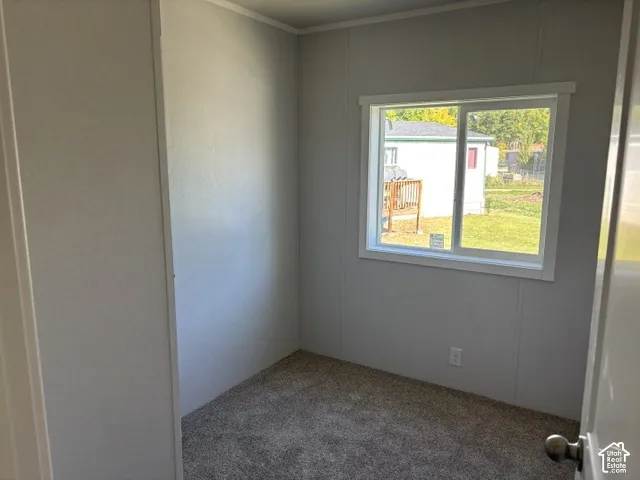 Carpeted room with white paneled walls and a white-framed window