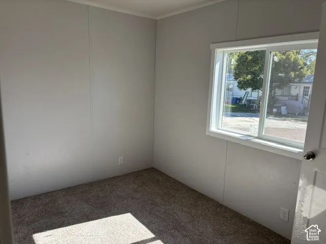 Carpeted flooring, white trim, and a window with a white frame