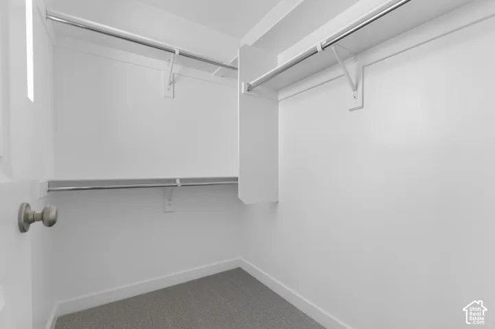 Walk-in closet with carpet flooring, white walls, and built-in shelving units
