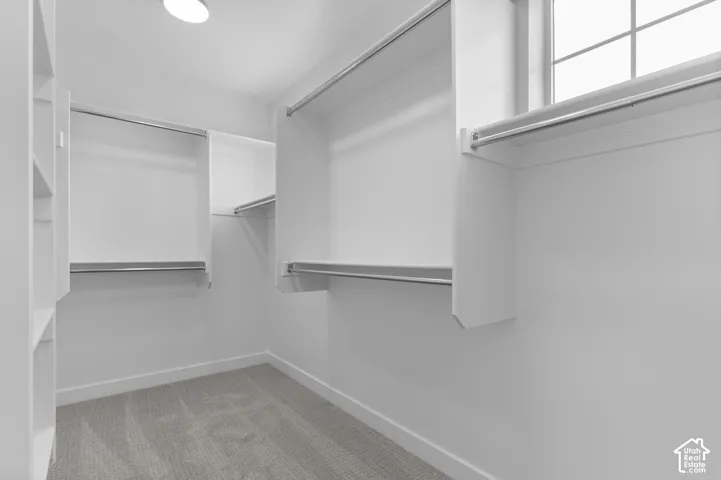 Integrated shelving with hanging rods