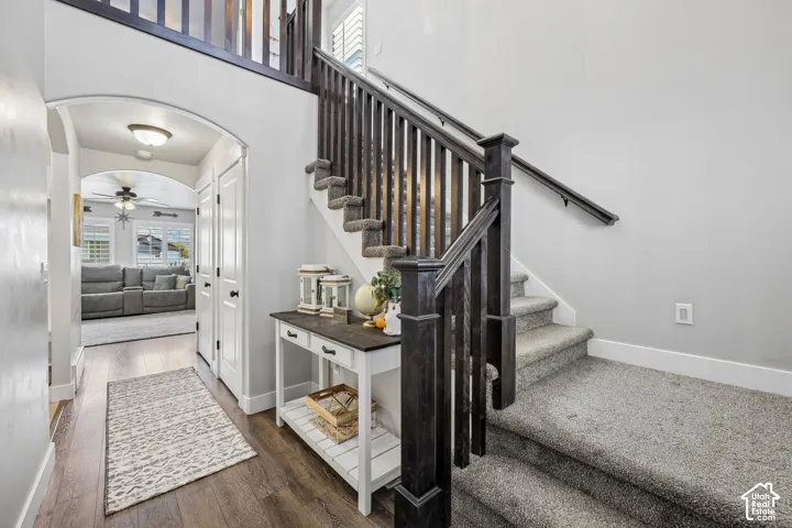 Staircase with dark wood newel posts and railings, carpeted treads, and wood-finish flooring