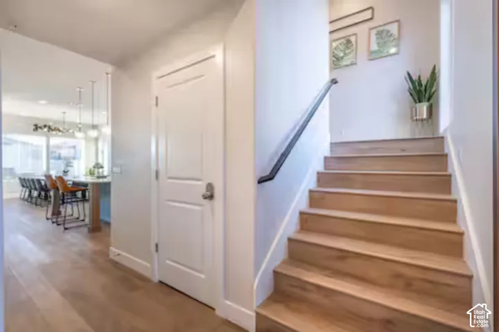 Light wood-finish flooring extending into the kitchen, open-concept kitchen with pendant lighting, white interior doors, and a staircase with a dark handrail and wood-finish treads