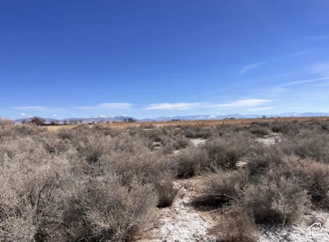 Expansive open land featuring diverse shrubbery and a distant mountain range under a clear sky