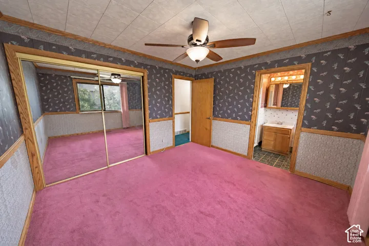 Mirrored closet doors, a ceiling fan with integrated lighting, and a window with natural light