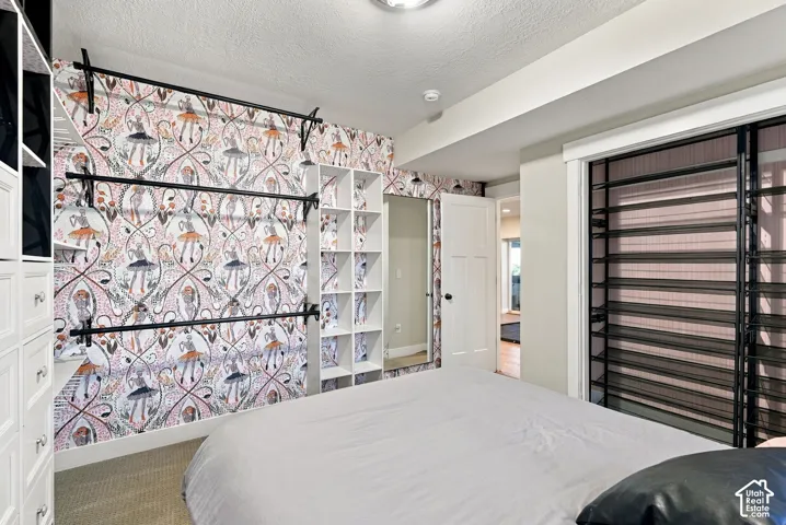 Built-in shelving, white paneled door, flush mount ceiling light, and wall-mounted bars