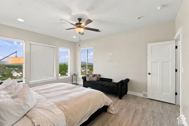 Recessed lighting, ceiling fan, wood-finish flooring, multiple windows, and a three-panel interior door