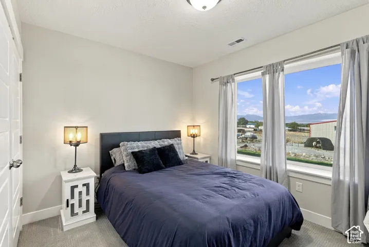 Plush carpeting, a flat ceiling, and two large windows with white trim