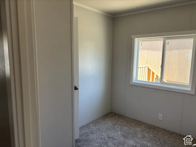 Wall-to-wall carpeting, paneled walls, white trim, and a sliding window