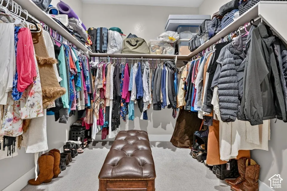 Walk-in closet with carpet flooring, built-in shelving, and hanging rods