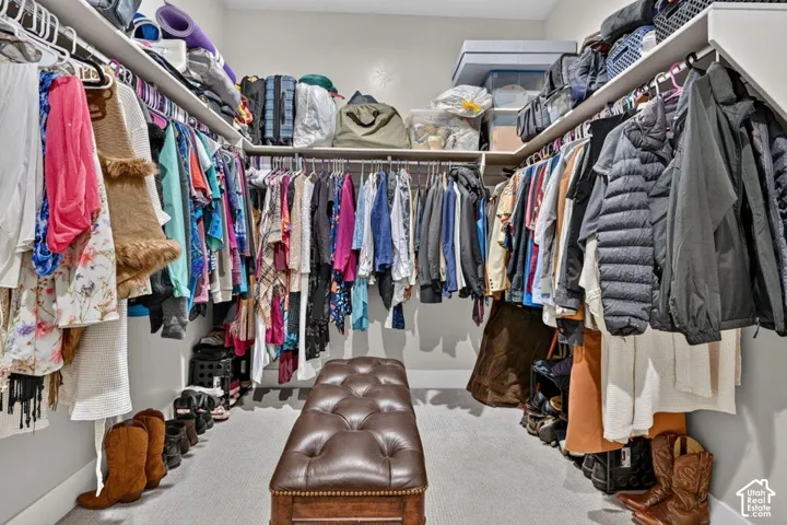 Walk-in closet with carpet flooring, built-in shelving, and hanging rods