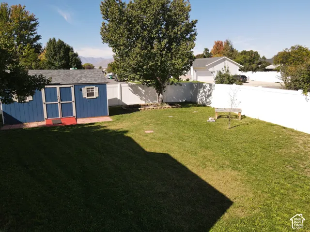 Expansive green lawn featuring a white privacy fence, mature trees, and a blue storage shed with white trim