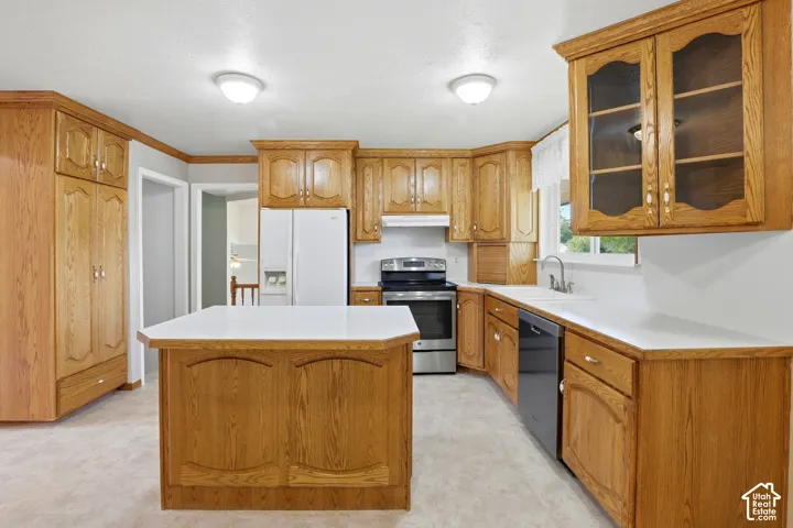 Kitchen featuring wood cabinetry, white countertops, a central island, and stainless steel appliances
