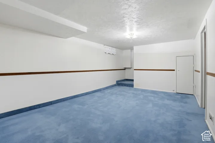 Expansive room featuring wall-to-wall carpeting and white painted walls