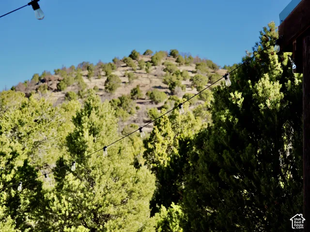 Mountain backdrop with abundant mature trees and string lighting