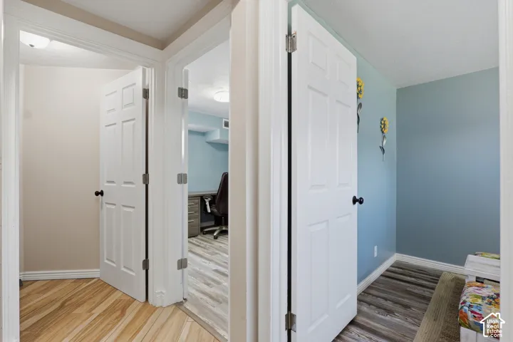 Wood-finish flooring throughout, white paneled doors, and contrasting wall colors