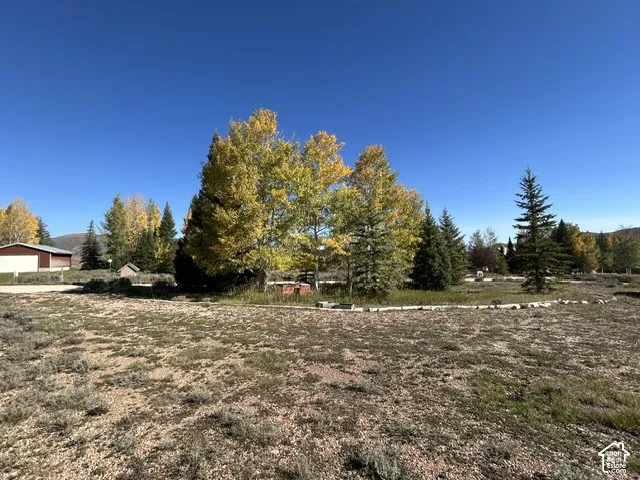Mature trees with vibrant autumn foliage