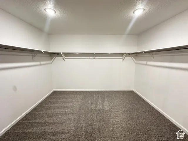 Recessed ceiling lighting, wall-mounted shelving, and carpet flooring