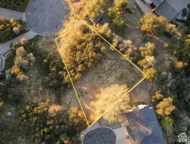 Property parcel featuring abundant natural vegetation, surrounded by established residences
