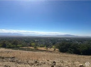 Expansive natural landscape with a broad horizon, distant mountain range, and scattered trees