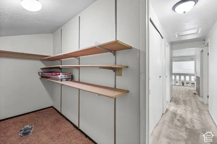 Built-in shelving, flush-mount ceiling lighting, and overhead skylight