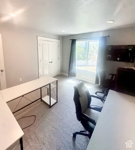 Recessed lighting, carpeted flooring, double-door closet, and large window
