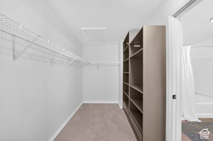 Carpeted closet with wire shelving, built-in shelving, and drawers