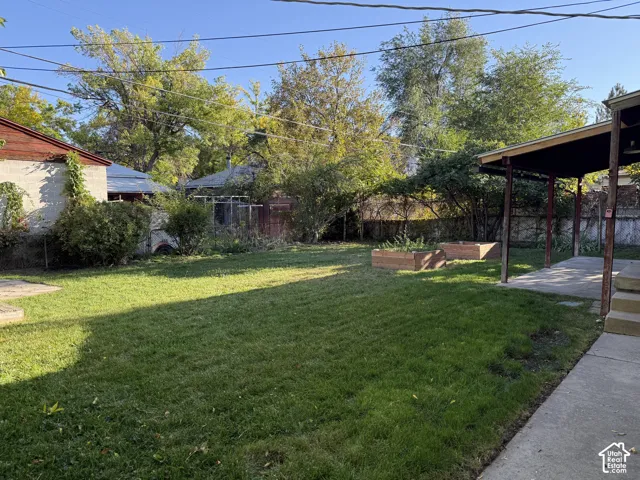 Back yard