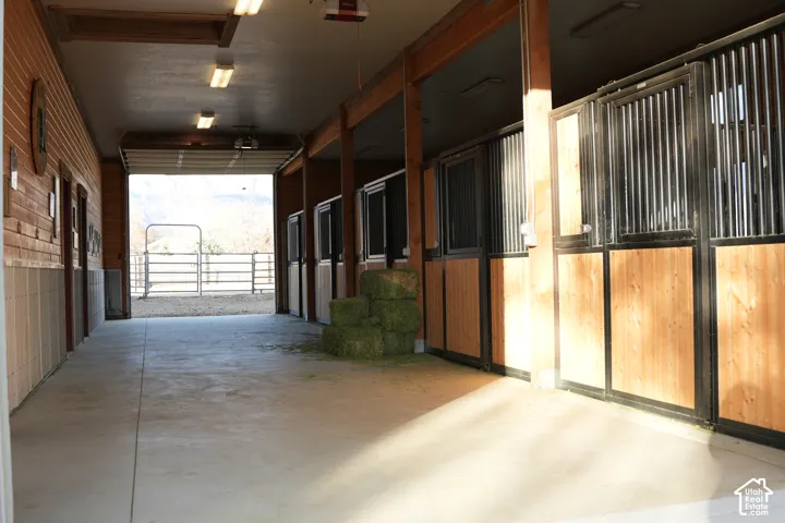 Concrete flooring, multiple stalls with wood-finish panels and metal grating, exposed wood beam ceiling, mounted fluorescent lighting, and a roll-up door