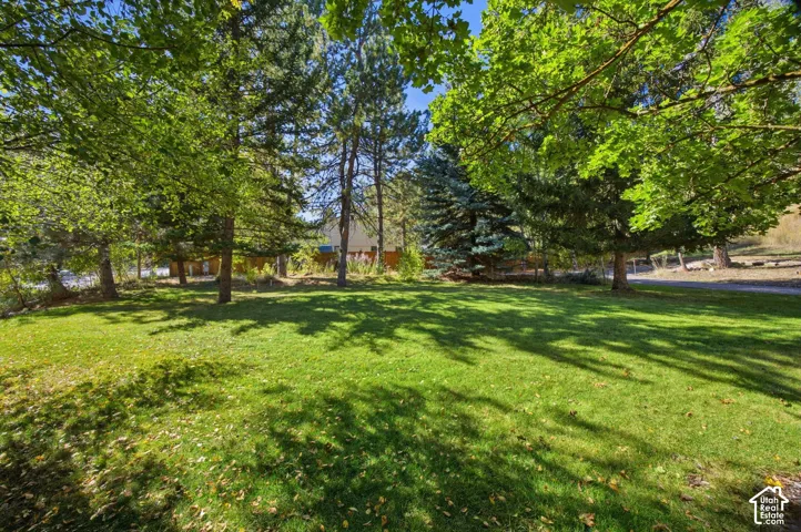 Expansive green lawn surrounded by mature trees