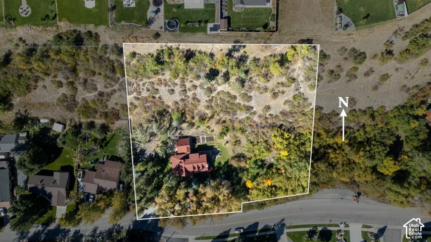 Extensive property lot with established residence, surrounded by mature trees and natural vegetation