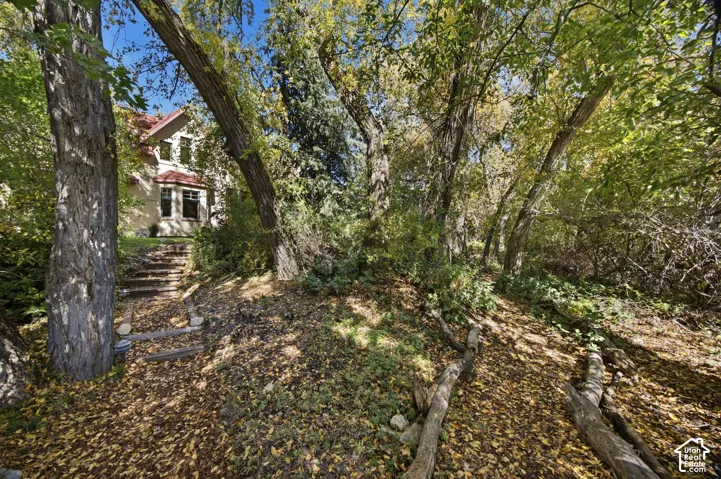 Exterior featuring a stucco finish, multiple windows, and a red roof, surrounded by mature trees and natural landscaping