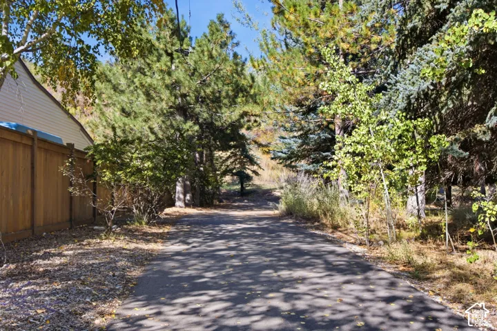 Paved pathway bordered by a wood fence and mature trees