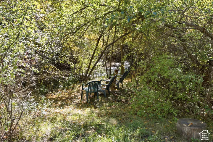 Lush natural landscaping with mature trees and a tranquil water feature
