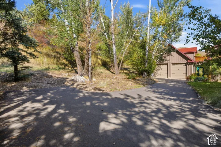 Asphalt driveway leading to a two-car garage with panel doors