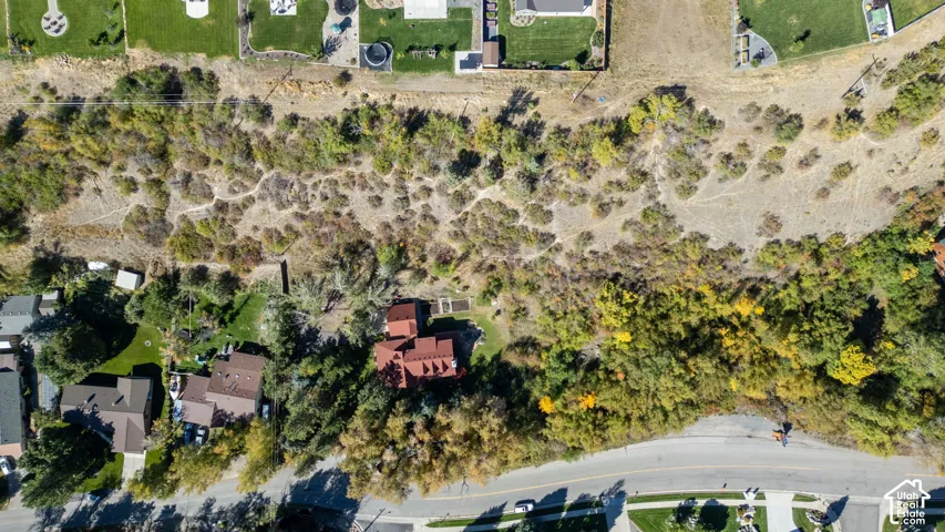 Residential property with surrounding natural landscape and established trees