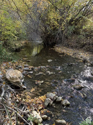 Natural water feature with a rocky bed, surrounded by mature trees and foliage
