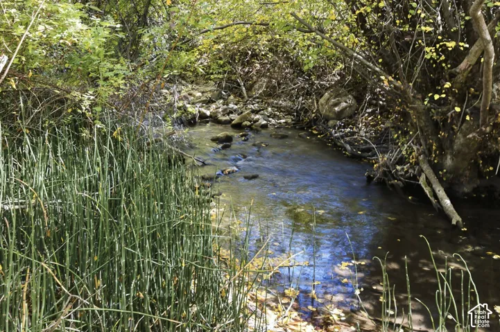Natural stream featuring rocky banks, surrounded by dense foliage and riparian vegetation
