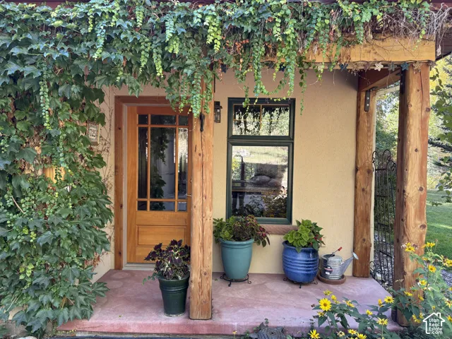 Wood-paneled entry door with transom windows, stucco exterior, and natural wood columns