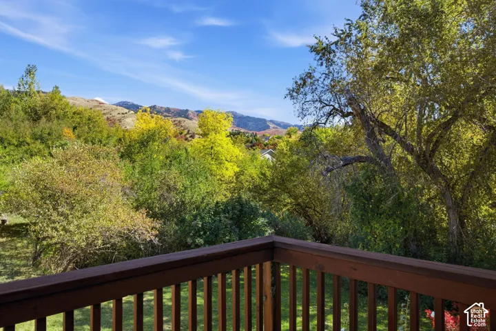 Wood-finish railing with a natural landscape and distant mountains