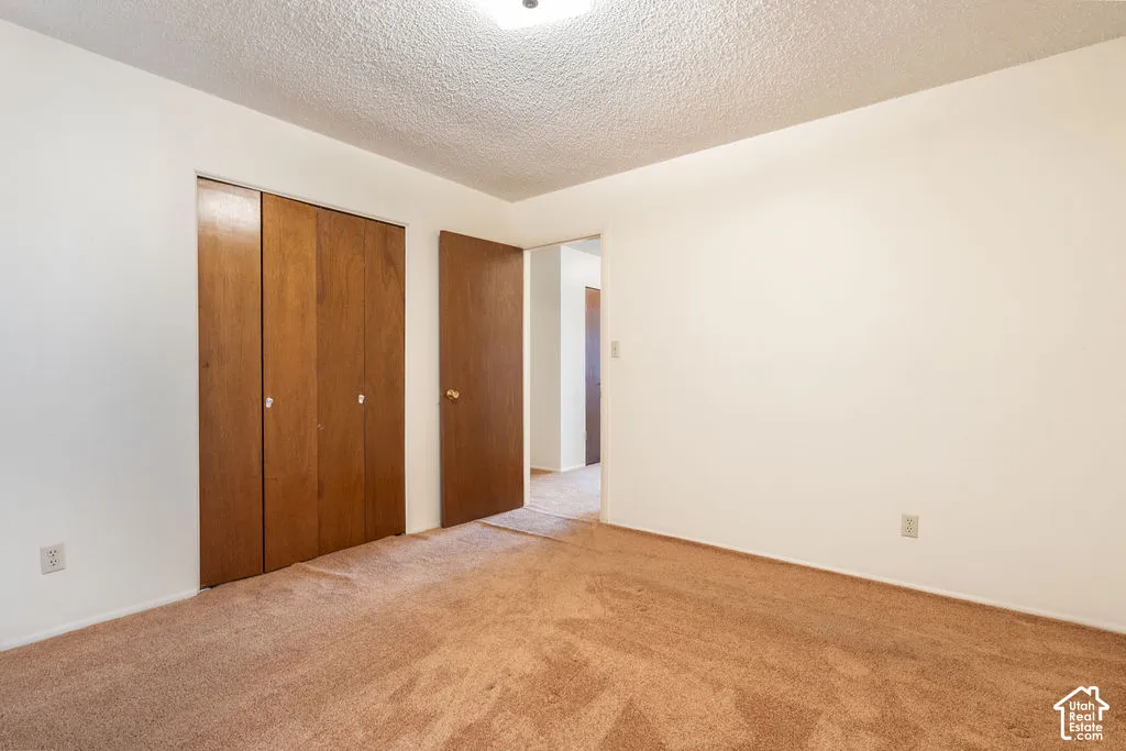 Brown carpeted flooring, light-toned painted walls, and wood-finish doors