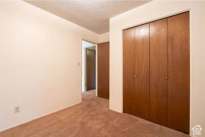 Spacious bedroom offering warm carpet flooring, abundant natural light from multiple windows, and substantial closet storage with wood-finish sliding doors