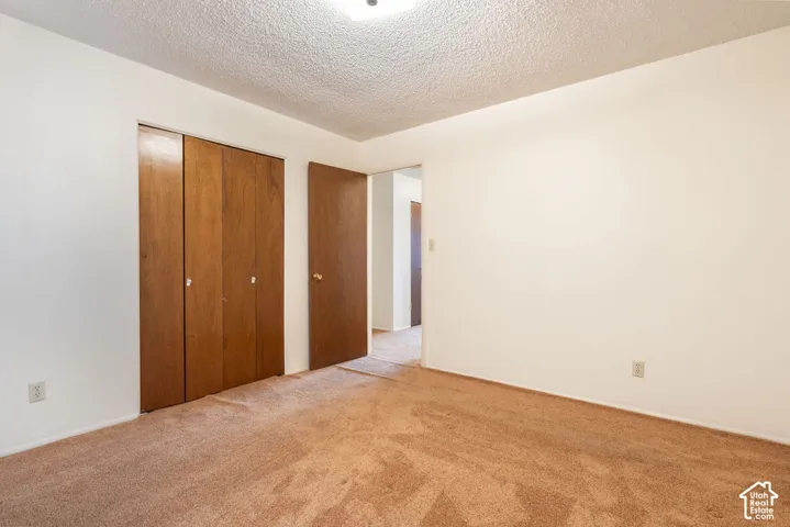 Brown carpeted flooring, light-toned painted walls, and wood-finish doors