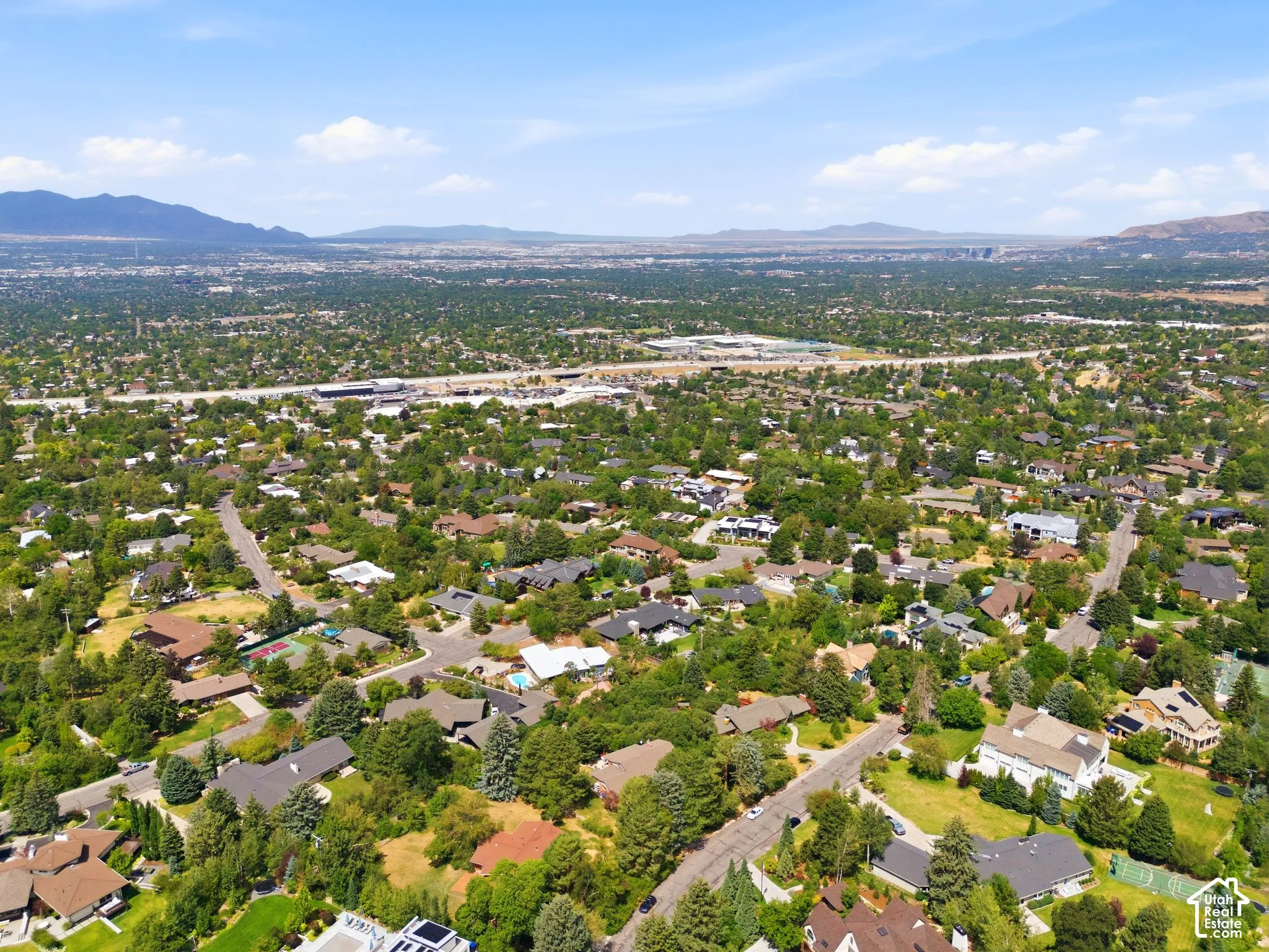 Expansive residential area with abundant mature trees and distant mountain formations